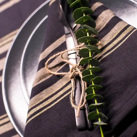 Lava * San Sebastián